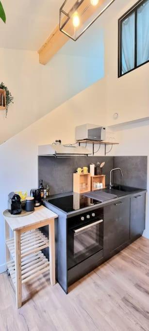 Le Duplex Catherine - Metro - Gare - Wifi Toulouse Exterior foto