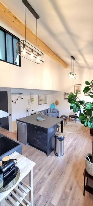 Le Duplex Catherine - Metro - Gare - Wifi Toulouse Exterior foto